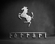 Jill Reger - Ferrari Emblem