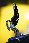 Jill Reger - 1939 Packard Hood Ornament