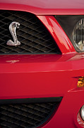 Jill Reger - Cobra Grille Emblem