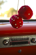 Jill Reger - Fuzzy Dice