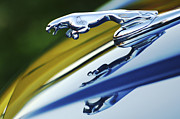 Jill Reger - Jaguar Car Hood Ornament