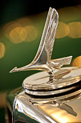 Jill Reger - 1932 Studebaker Dictator Custom Coupe Hood Ornament