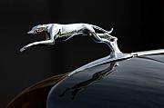 Jill Reger - 1937 Lincoln K  Brunn Hood Ornament