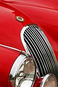 Jill Reger - 1952 Jaguar XK 120 Grille Emblem