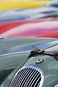 Jill Reger - 1952 Jaguar XK 120 John May Speciale Hood Emblem