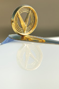 Jill Reger - 1955 Buick Hood Ornament