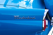 Jill Reger - 1956 Ford Thunderbird Taillight Emblem