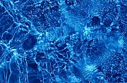 Jill Reger - Blue Blue Water