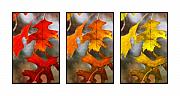 Jill Reger - Fall Leaves