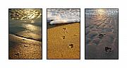 Jill Reger - Footprints In The Sand