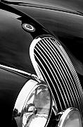 Jill Reger - Jaguar Grille black and white