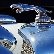 Jill Reger - Jaguar Hood Ornament 1