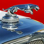 Jill Reger - Jaguar Hood Ornament 2