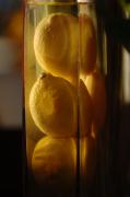 Jill Reger - Lemon Vase