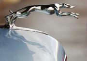 Jill Reger - Lincoln V12 Hood Ornament