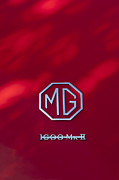 Jill Reger - MG 1600 MK II Emblem