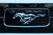 Jill Reger - Mustang Emblem