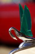 Jill Reger - Packard Cormorant Hood Ornament