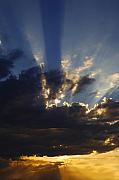 Jill Reger - Sun Rays